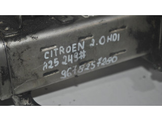 Комплект жиклеров (форсунок) 9678257280    Citroen C5