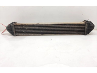 Интеркулер A1695000000 Mercedes-Benz A W169