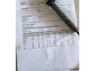 Форсунка A6420700587, 0445115027    Mercedes-Benz R W251   