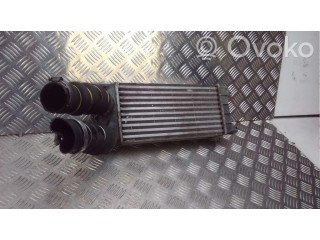 Интеркулер 384N9 Citroen Berlingo 1.6