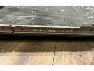 Pojistková skříňka Комплект радиатора A2045003703 Mercedes-Benz C W204 2011