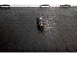 Форсунка LCR6735405    Renault Clio II   