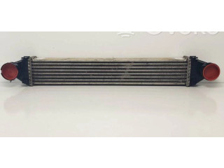 Интеркулер A1695000000 Mercedes-Benz A W169