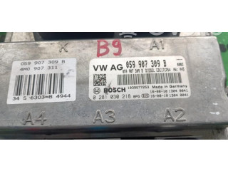 Řídící jednotka 0281030218, 059907309B Audi Q7 4L 2007