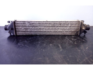 Интеркулер  P2-B10-1   Fiat Doblo 