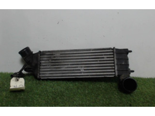 Интеркулер 00000384G0, 00000384G0 Citroen C8