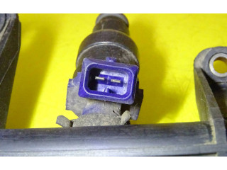 Топливная рампа 7700273495   Renault Scenic I  