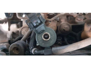 Форсунка 0445110076    Peugeot Expert  RHZ 