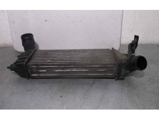 Интеркулер 1489396080, 870229HF Citroen C8
