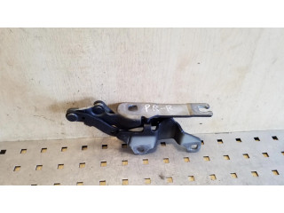 Петля (петли) капота двигателя