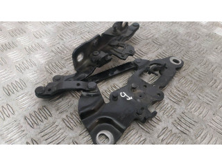 Петля (петли) капота двигателя