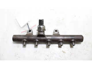 Топливная рампа Renault Kangoo II