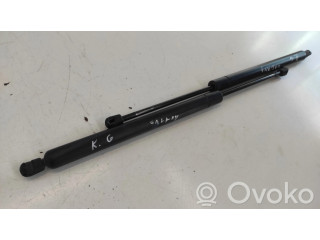 Амортизатор задней крышки