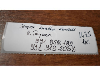 Píst Porsche Taycan 9J1