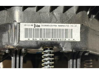 Подушка безопасности водителя    Peugeot Partner