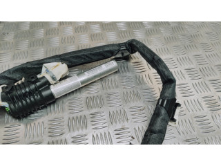 Боковая подушка безопасности 517965510, 071013111 Fiat Punto (199)