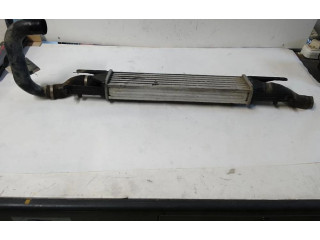 Интеркулер     Fiat Grande Punto 