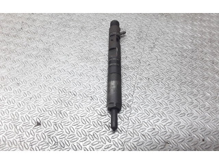 Форсунка 8200240244, 8200049876    Renault Clio II  - 