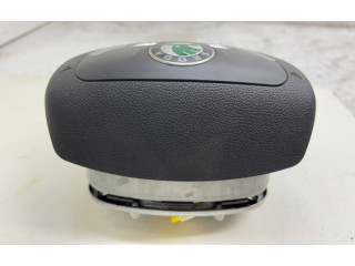 Подушка безопасности водителя 1Z0880201AK Skoda Octavia Mk2 (1Z)