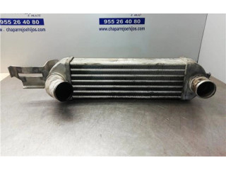 Интеркулер  52401245, 52401245   Opel Meriva A 