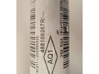 Volant Renault Sandero I 2020 488109267R