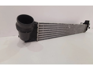 Интеркулер  8200880552   Dacia Duster 