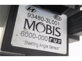 Přístrojová deska KIA Carnival 2006 934803L001, 6000000