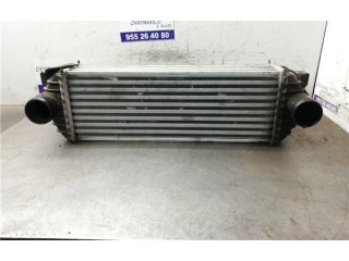 Интеркулер     Ford Transit -  Tourneo Connect 