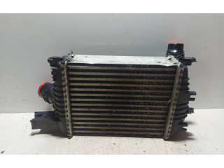 Интеркулер  144961381R   Renault Clio III 