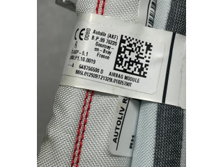 Боковая подушка безопасности Dacia Sandero