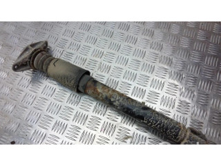 Задний aмортизатор      