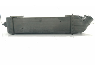 Интеркулер  9651184880   Peugeot 207 