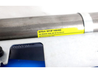 Боковая подушка безопасности 52029351AE Fiat Freemont