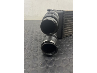 Интеркулер Citroen Berlingo