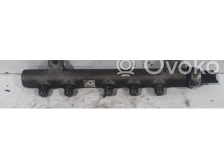 Топливная рампа A6710700195, A6710700195 SsangYong Korando