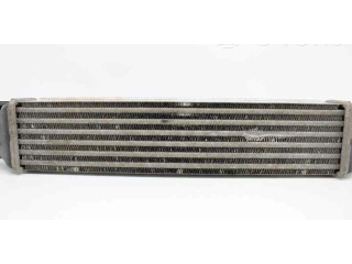 Интеркулер 0000055702237 Fiat Grande Punto