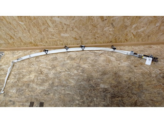 Боковая подушка безопасности 30698624, 606179201B Volvo S40