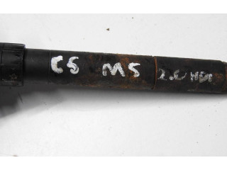 Форсунка 9688438580, 0059BC13F63 Citroen C5 PSA RHR, 10DYXG