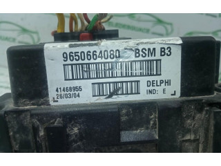 Блок предохранителей BSMB3   Peugeot 406    