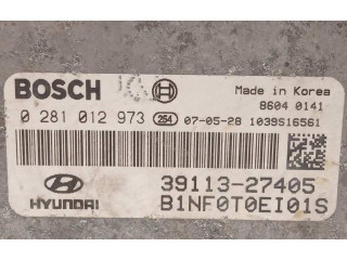 Блок управления двигателя 3911327405, 0281012973   Hyundai Sonata