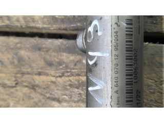 Vstřikovací lišta A6400701295, 10063002 Mercedes-Benz A W169 pro naftový motor 2.0