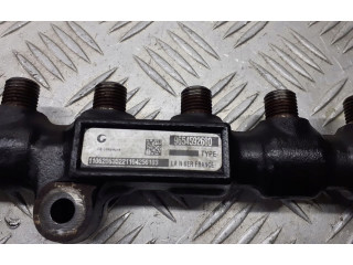 Топливная рампа 9654592680 Citroen C5