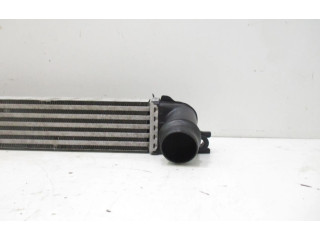 Интеркулер  1751850690402   Mini Cooper Countryman R60 