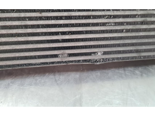 Интеркулер  8200880552, 1100229446   Dacia Duster 