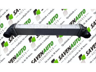 Интеркулер SV23-02 Mercedes-Benz A W169