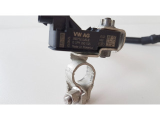 Минусовый провод (аккумулятора)