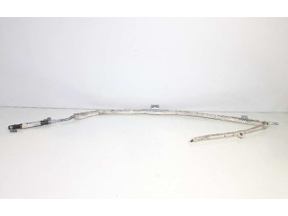 Подушка безопасности двери 1Z5880741G Skoda Octavia Mk2 (1Z)