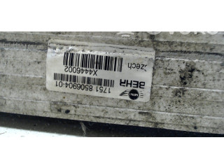 Интеркулер 1751850690401 Mini Paceman (R61)