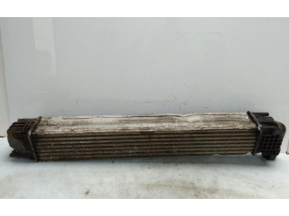 Интеркулер 8200880552 Dacia Duster