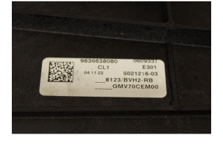 Вентилятор радиатора     9836638080    Peugeot Partner III 